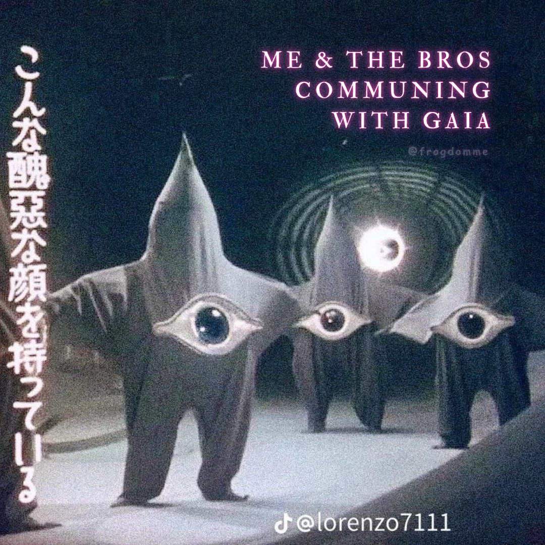 three people wearing star costumes with an eye in the middle, standing with arms spread looking like they might be worshipping the sun with text overlay ME & THE BROS COMMUNING WITH GAIA